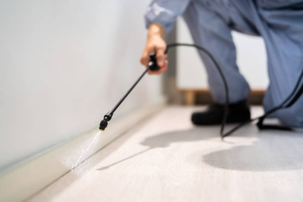 Licensed Cockroach Control service in Plains, KS - Nex Pest Control