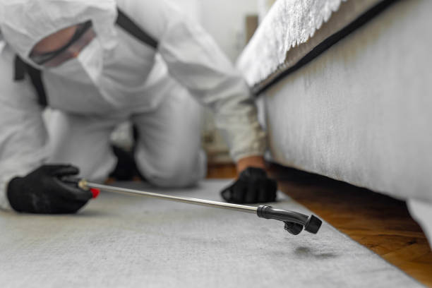 Professional Cockroach Control technician working in Plains, KS