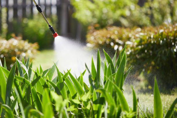 24/7 Emergency Cockroach Control experts in Plains, KS