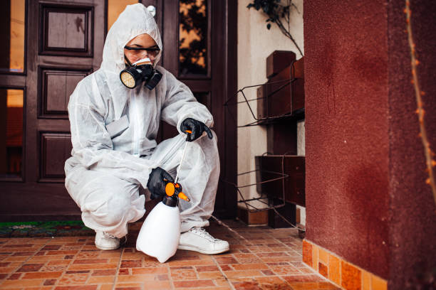 Reliable Cockroach Control contractor in Plains, KS by Nex Pest Control